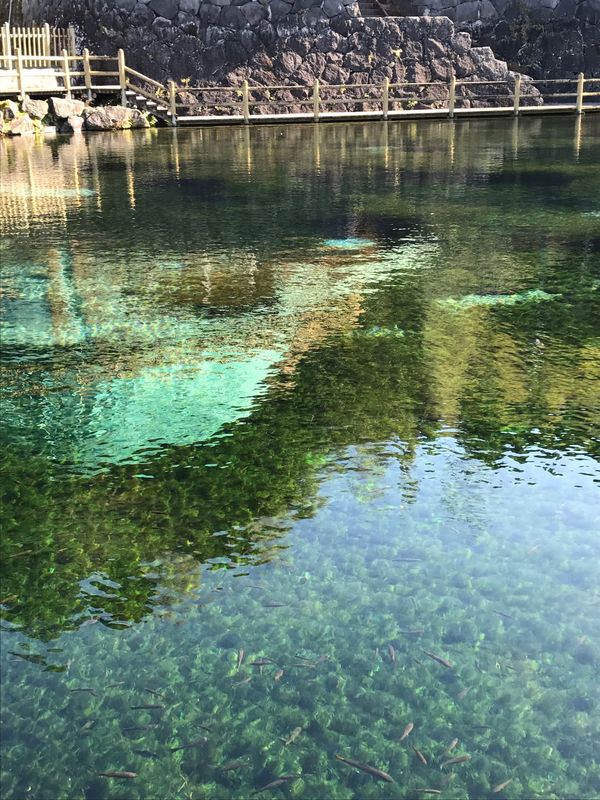 日本「日本」の写真