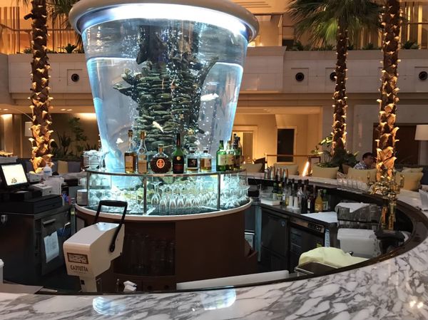 日本「日本」の写真