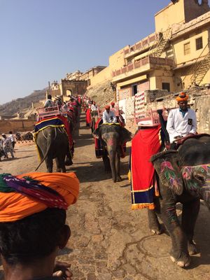 アンベール城1
象で登る🐘