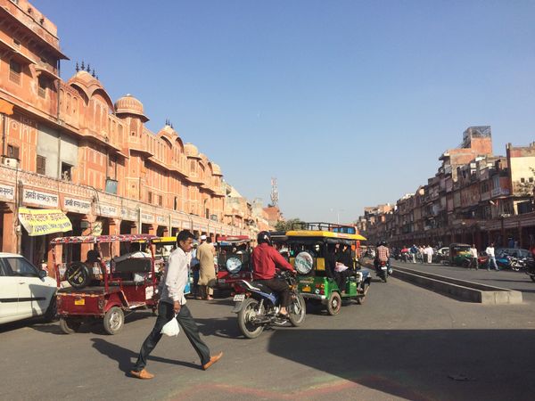 インド・アグラ「北インド 2017」の写真：街並み
ガイドさん曰く、町を歩いてる牛た...