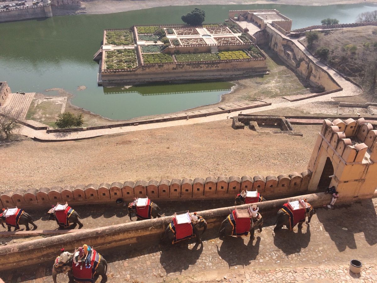 アンベール城1
象で登る🐘