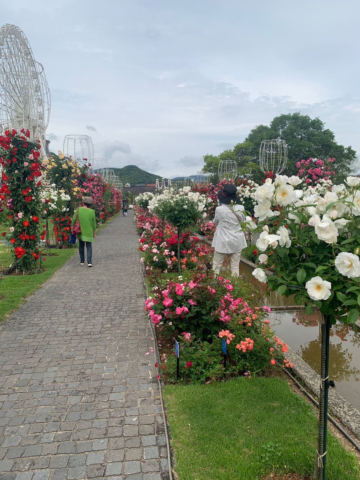 日本で1番の薔薇園