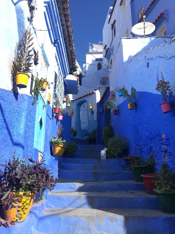 モロッコ「モロッコ 2019」の写真：シャウエン、フェズ、マラケシュなど