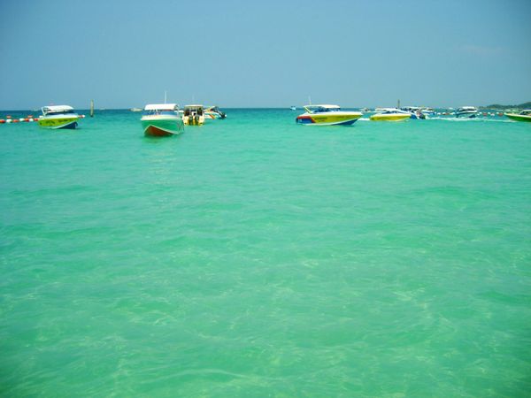 タイ「タイの旅」の写真：タイ料理最高！写真一枚も撮れず.....