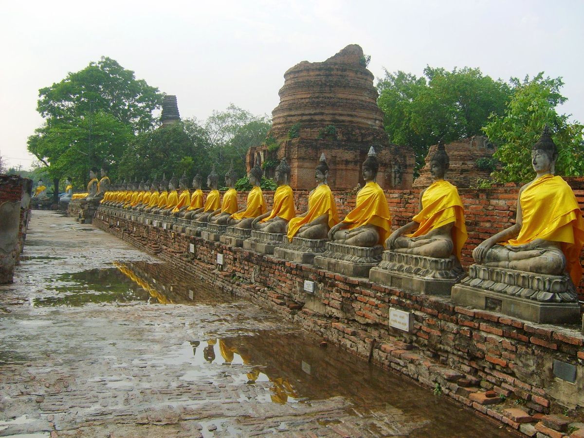タイ料理最高！写真一枚も撮れず.....