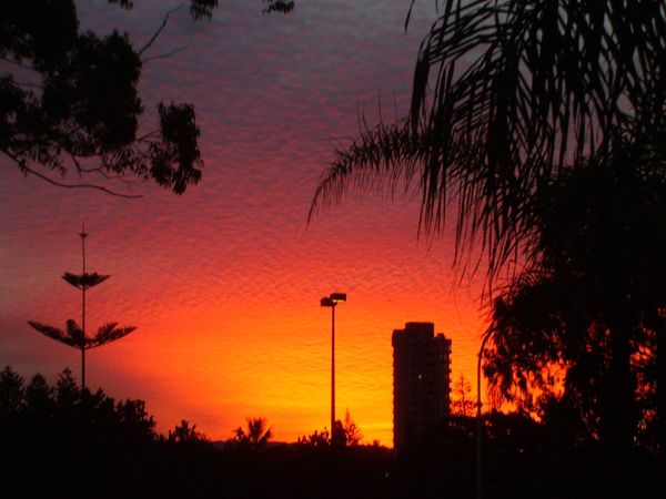 オーストラリア連邦「Gold Coastの日々」の写真