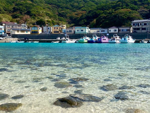 日本・四万十川「密を避けて大自然を満喫！」の写真：日本の海じゃないみたいな
透明度と鮮やか...