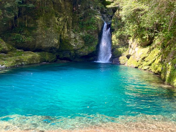 日本・四万十川「密を避けて大自然を満喫！」の写真：にこ淵

メキシコやバヌアツのブルーホー...