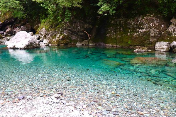 日本・四万十川「密を避けて大自然を満喫！」の写真：荒男谷

到着までかなり細い山道を運転し...