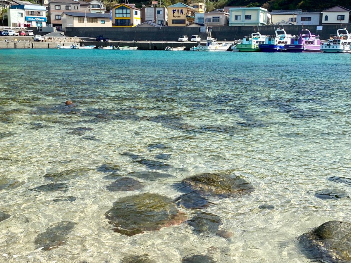 日本の海じゃないみたいな
透明度と鮮やかなブルーが印象的な柏島

水の透明...