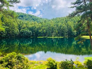 山登りの後は蓼科温泉で汗を流し、東山魁夷の名画で有名な御謝鹿池。