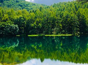 山登りの後は蓼科温泉で汗を流し、東山魁夷の名画で有名な御謝鹿池。