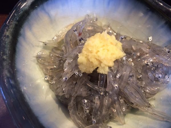 日本・神奈川県「胸騒ぎの藤沢・江ノ島」の写真