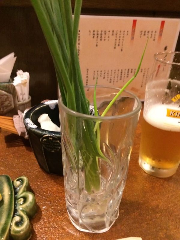 日本・大阪府「夏、関西旅」の写真