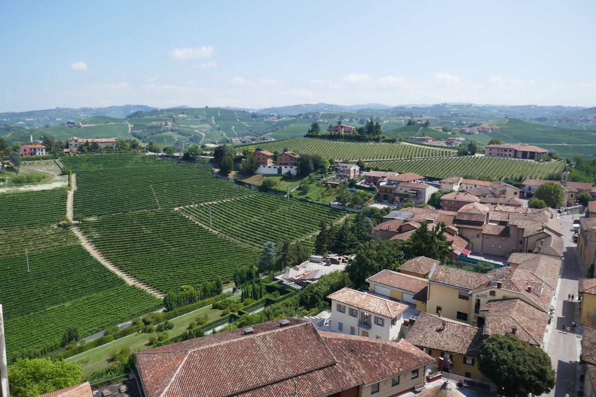 旅の目的② ピエモンテといえばバローロ、バルバレスコ。ワイナリー巡りをして...