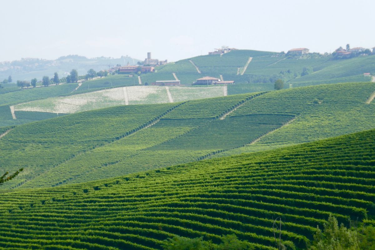 旅の目的② ピエモンテといえばバローロ、バルバレスコ。ワイナリー巡りをして...