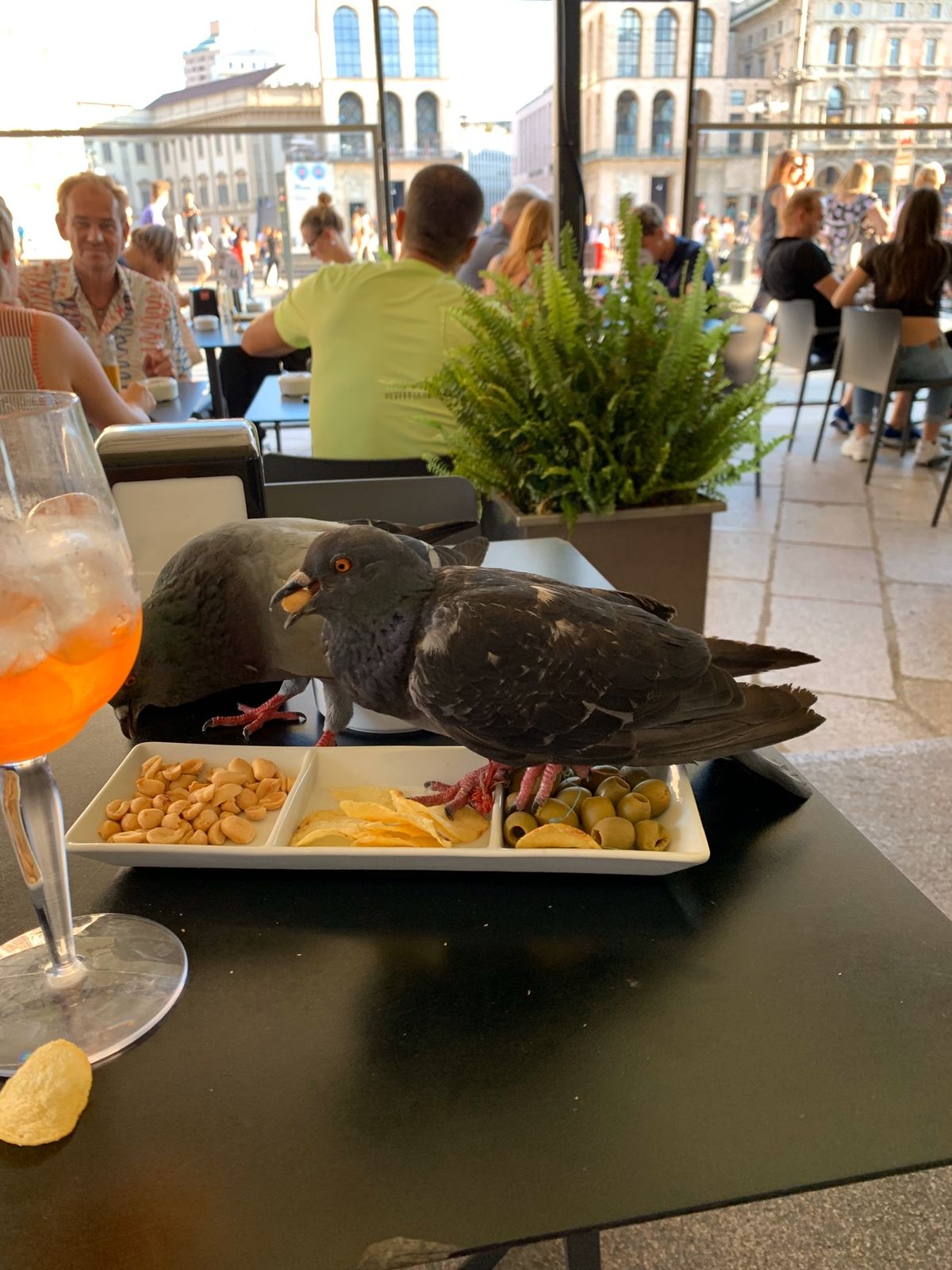 今回はコモに行ってしまったのでミラノ市内で過ごす時間はほとんどなかったので...