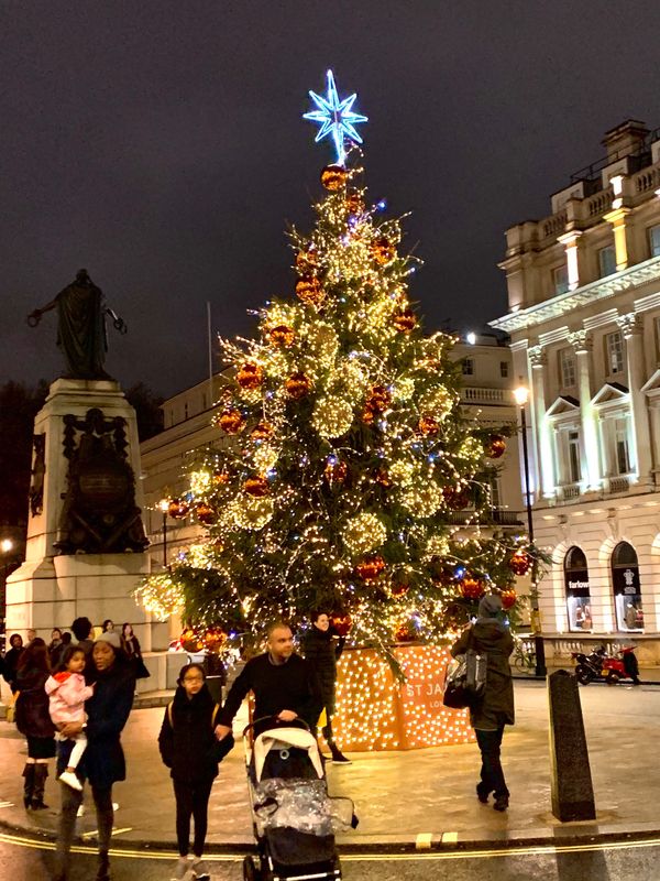 イギリス(英国)・ロンドン「冬のロンドン」の写真：クリスマスツリー🎄