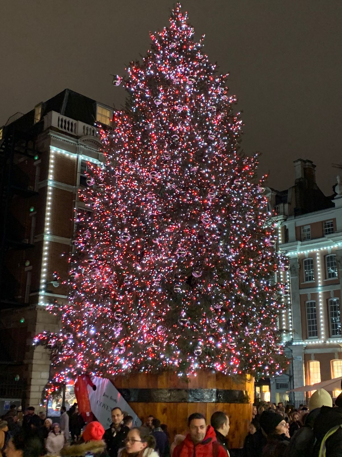 クリスマスツリー🎄