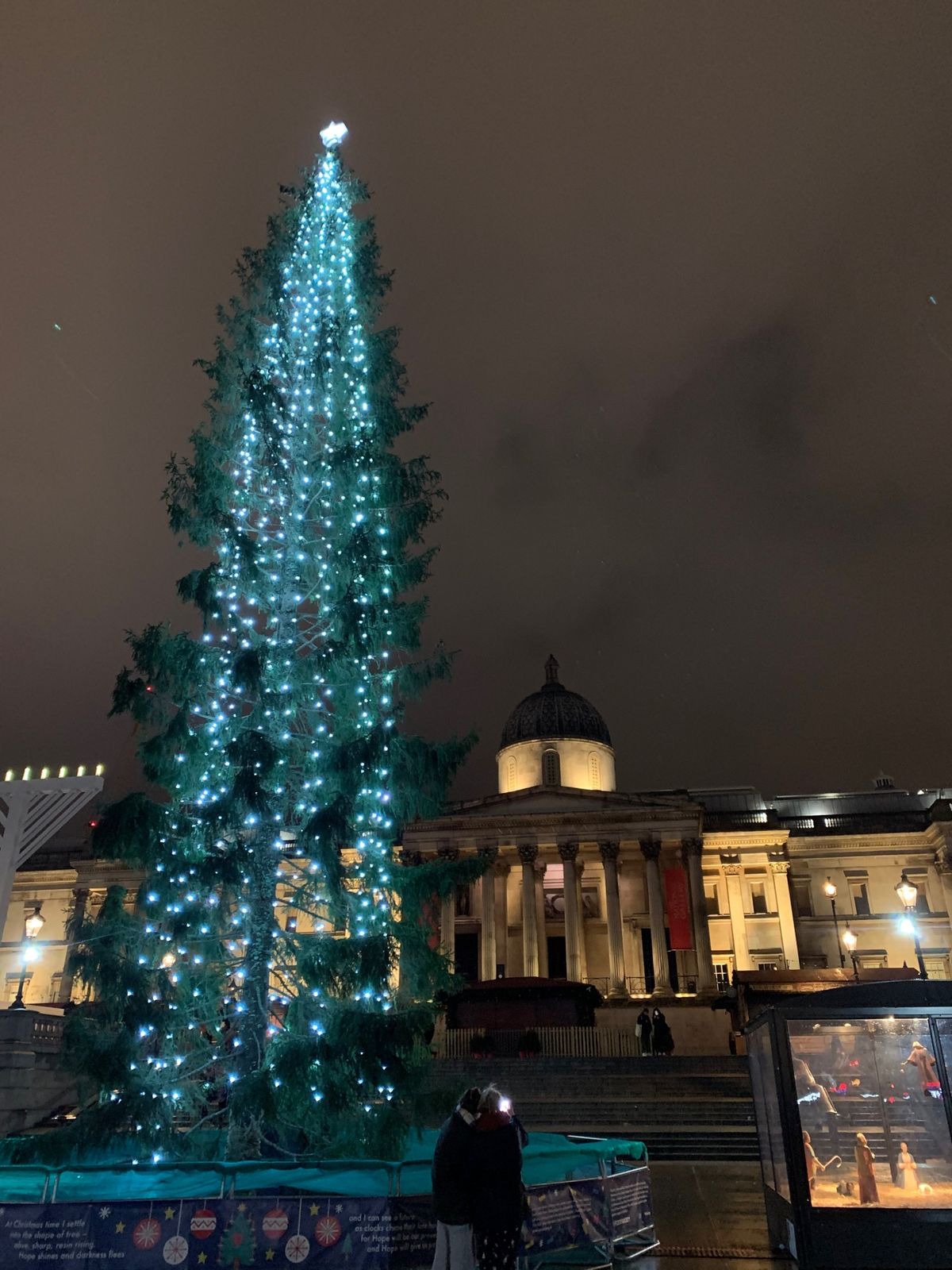 クリスマスツリー🎄