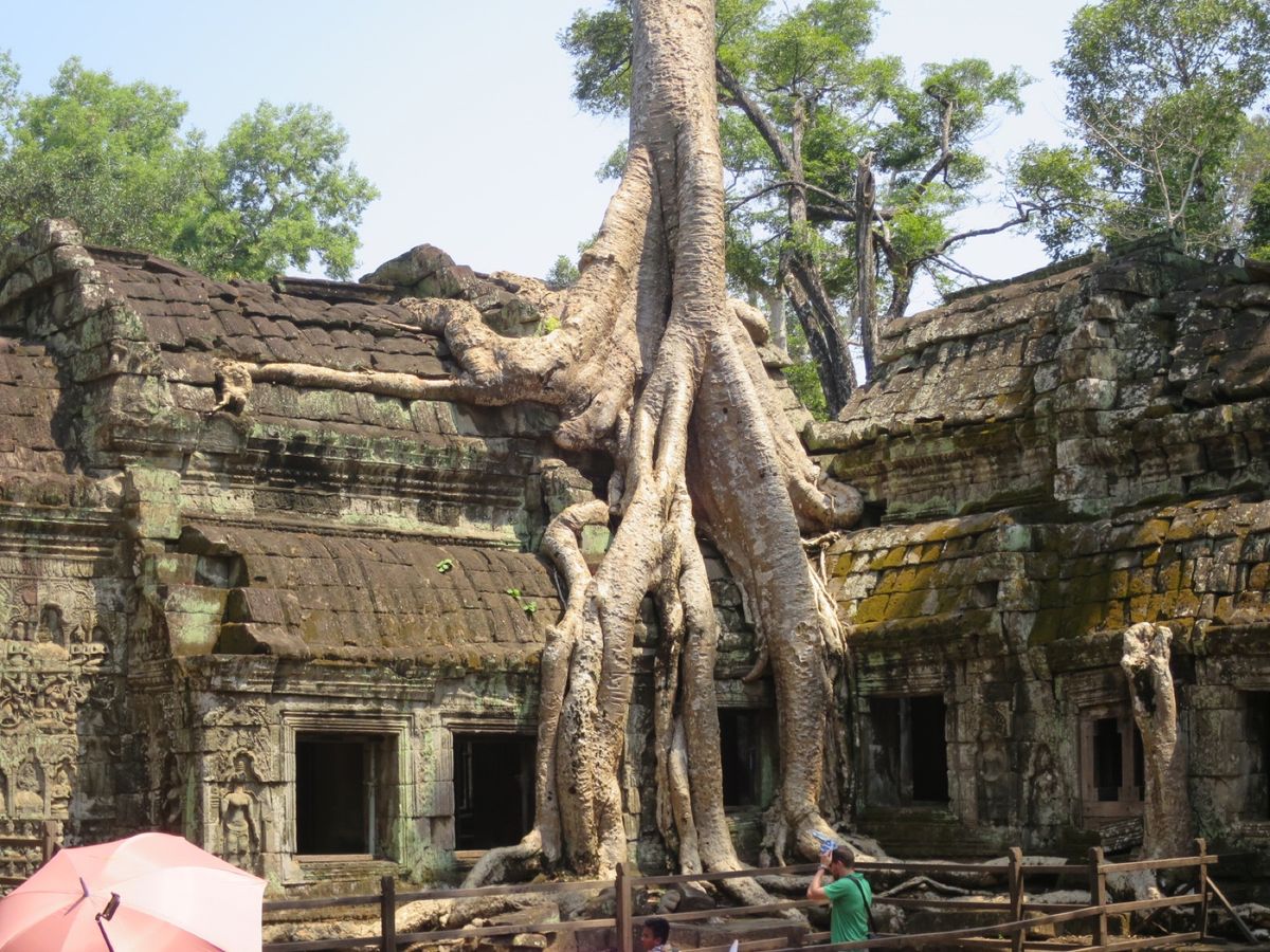 アンコールワット
オールドマーケット　肉の保存には驚いた
パブストリート
遺跡