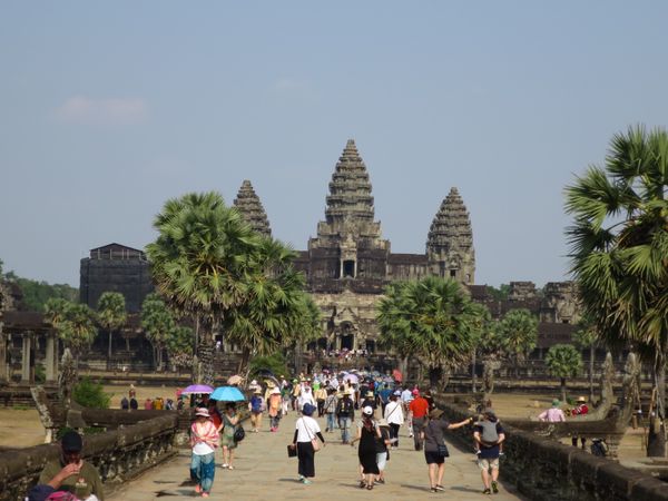 カンボジア・シェムリアップ「カンボジア」の写真：アンコールワット
オールドマーケット　肉...