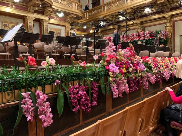 オーストリア・ウィーン「ウィーンで年越し2019-20」の写真：楽友協会ホールでトーンキュンストラーオー...