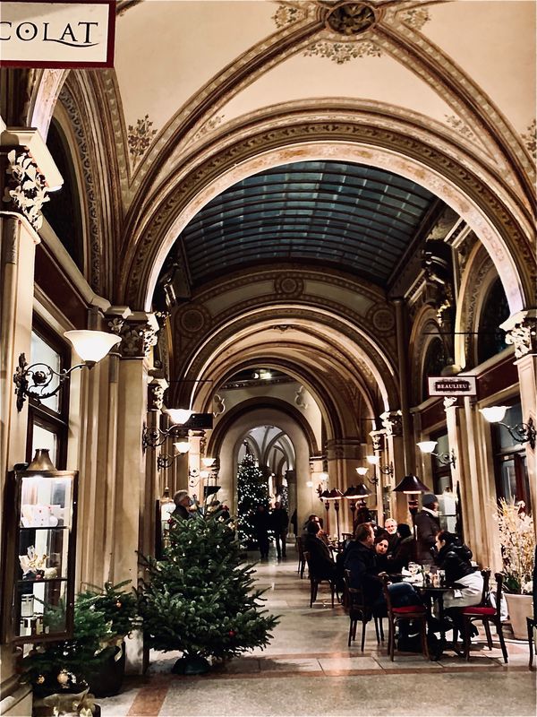 オーストリア・ウィーン「ウィーンで年越し2019-20」の写真：ウィーンのクリスマス風景