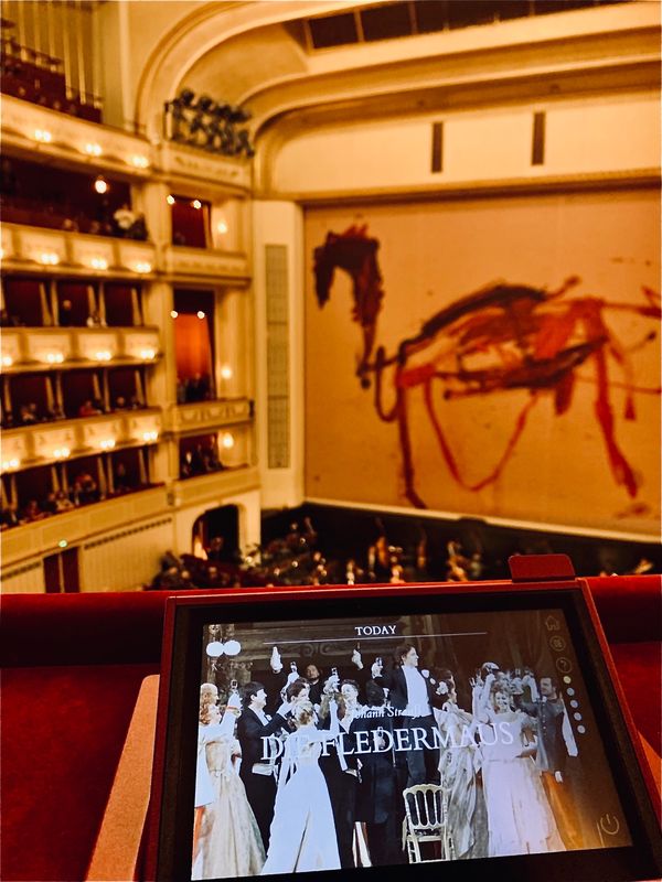 オーストリア・ウィーン「ウィーンで年越し2019-20」の写真：年が明けて1月1日は国立歌劇場でオペレッ...