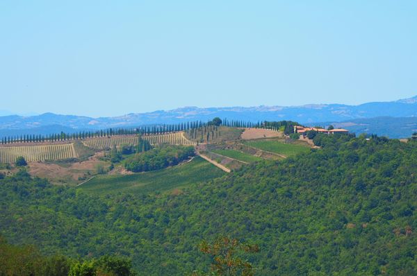 イタリア・フィレンツェ「トスカーナの休日2017夏」の写真：オルチャ渓谷、モンタルチーノ、モンテプル...