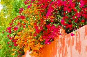 Colorful Morocco