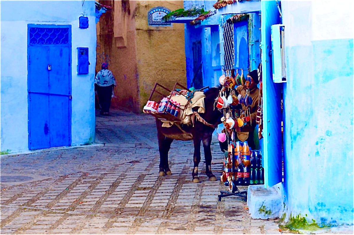 青い街、シェフシャウエン。
水の底にいる気分。