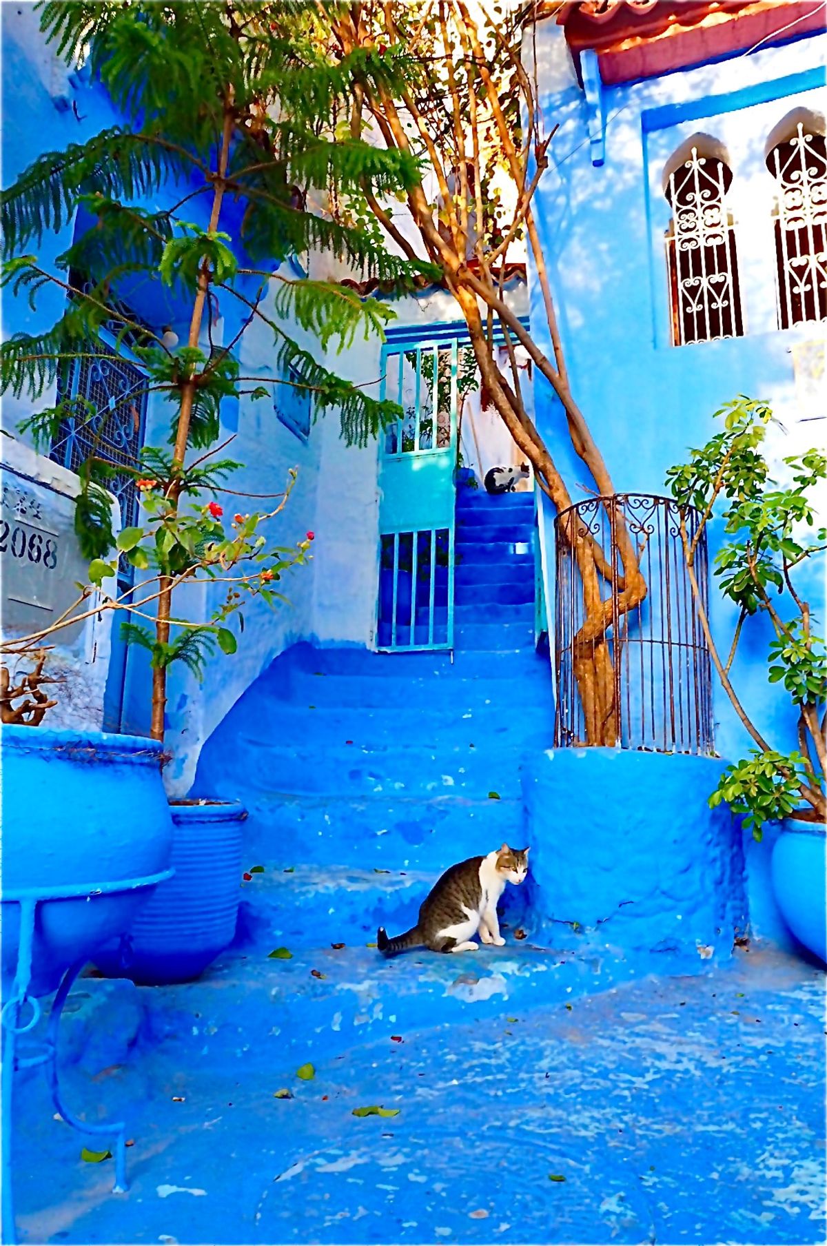 青い街、シェフシャウエン。
水の底にいる気分。