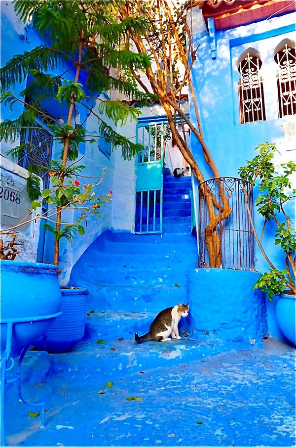 モロッコ・フェズ「モロッコ2017冬」の写真：青い街、シェフシャウエン。
水の底にいる気分。