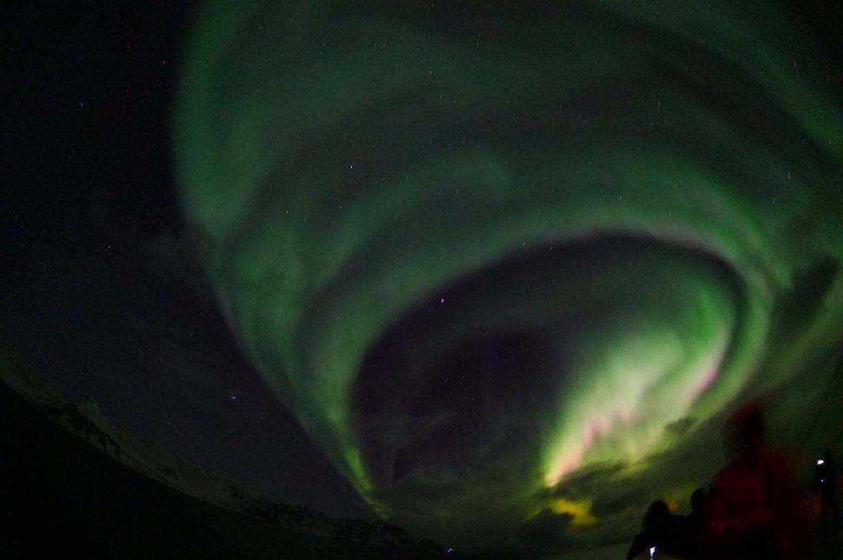 大きく揺れるクルーズ船の甲板から撮影したため、きちんとカメラを構えることも...