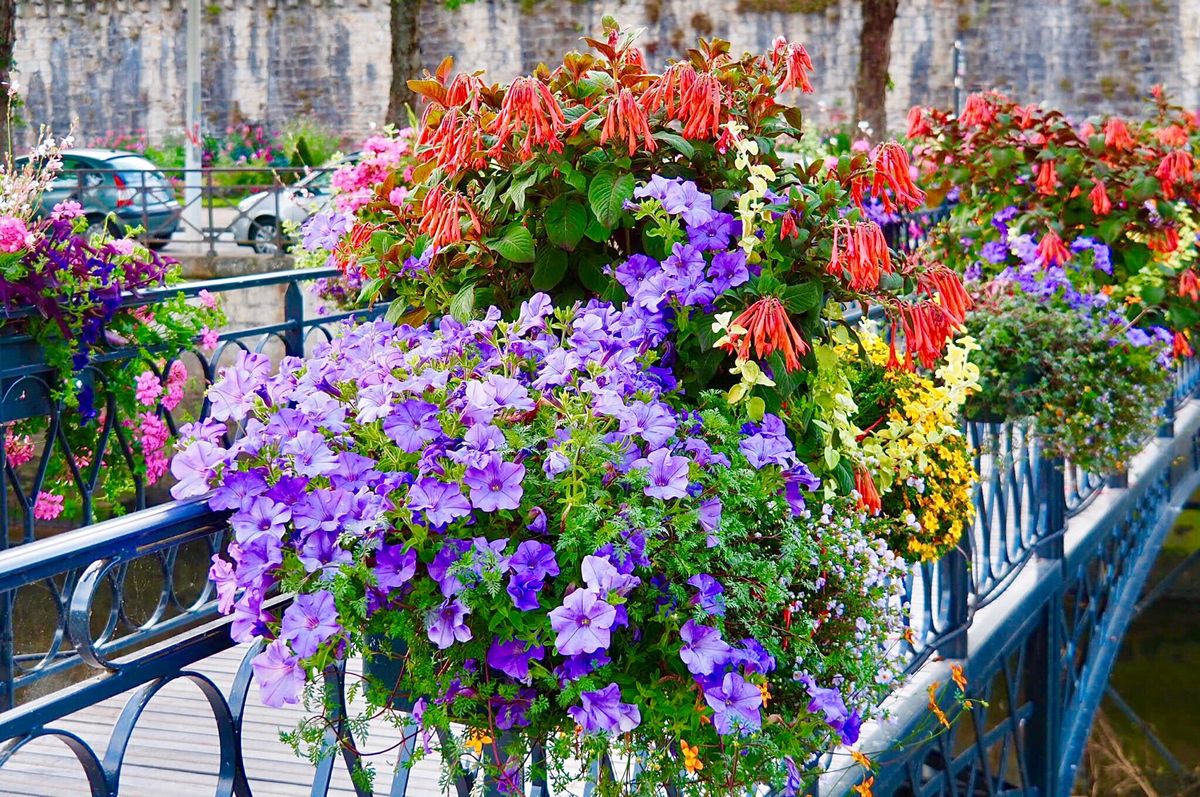 お花が綺麗な街、カンペール