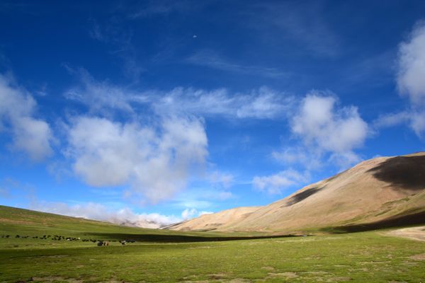 中国・チベット「チベット2014夏」の写真：チョモランマ国立公園。澄んだ青い空がとて...