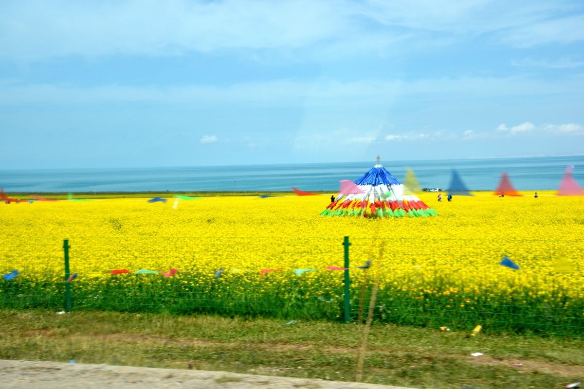 住んでいた北京から空路で青海省の西寧へ。ラサに向かう青蔵鉄道の発車までの半...