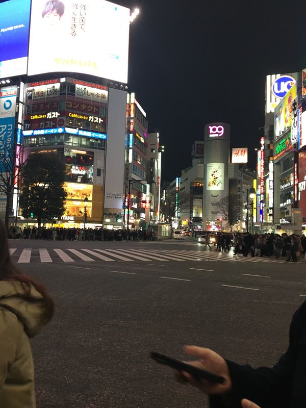 日本「東京、横浜」の写真