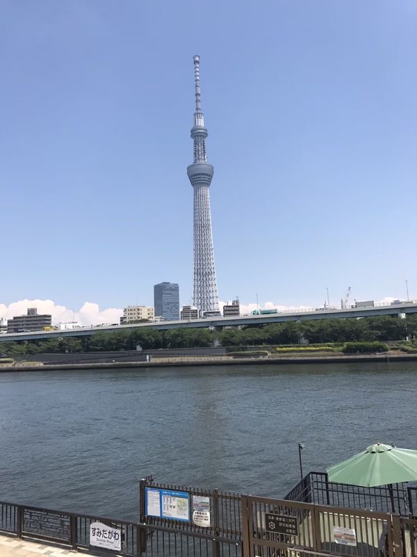 日本・台場ビルズ「墨田区港区ぶらり」の写真