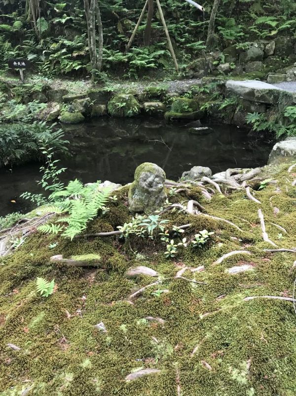 日本・京都府「うましうるわし関西」の写真