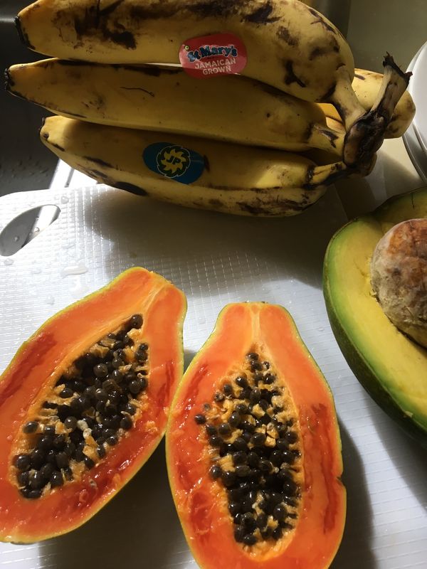 ジャマイカ・キングストン「Jamaica Sep 2019」の写真