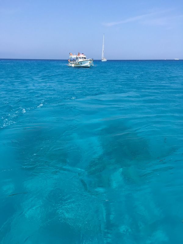 イタリア・パレルモ「南イタリアの旅」の写真