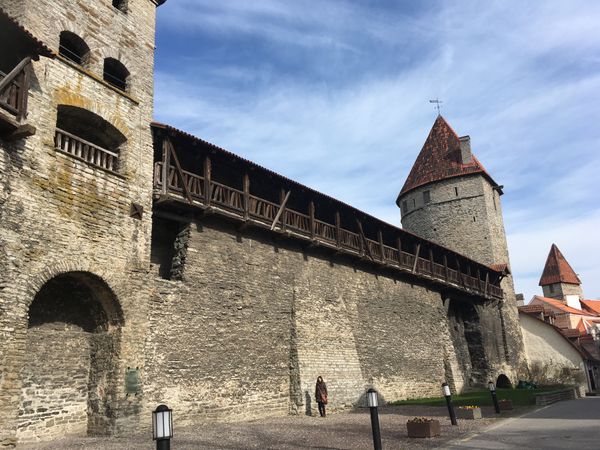 エストニア・タリン「バルト三国①」の写真