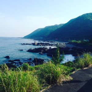 そのまま慎太郎像を過ぎると空海像、夫婦岩が見えてきます。
春は山桜と海と両...
