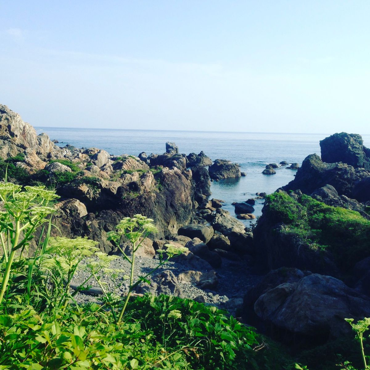 ドルフィンセンターから数分徳島方面に行くと室戸岬と中岡慎太郎像が見えて来ま...