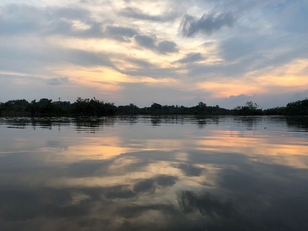 マレーシア・コタキナバル「2019ボルネオ/Borneo Island」の写真