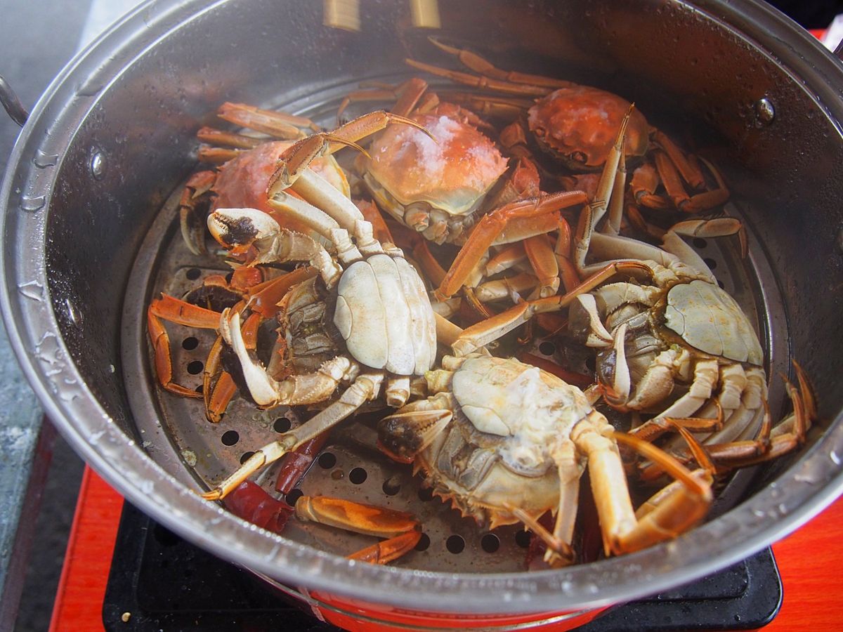 紅海灘
紅海灘の湿地の中にはカニさんがいっぱい。
釣り糸を垂らしてカニ釣り...