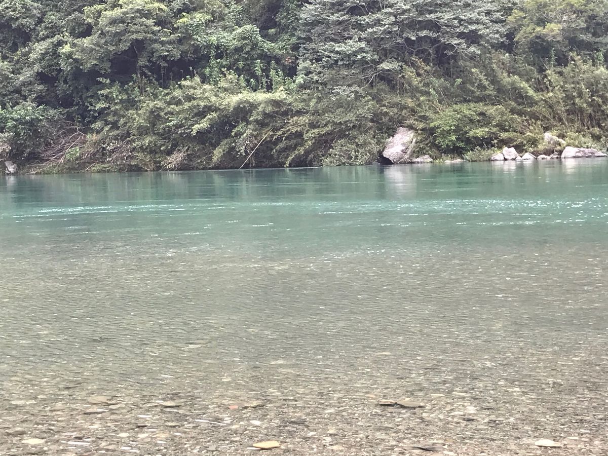 癒しスポット❣️