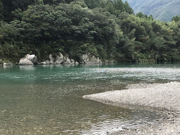 日本「仁淀」の写真：癒しスポット❣️